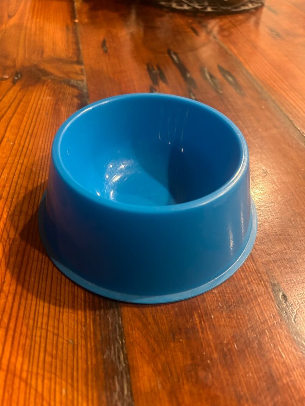 Dog rope chew toy, blue water or food bowl, and paw print bandana - Picture 3 of 4